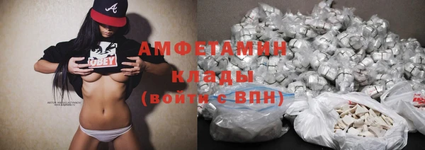 трава Абаза
