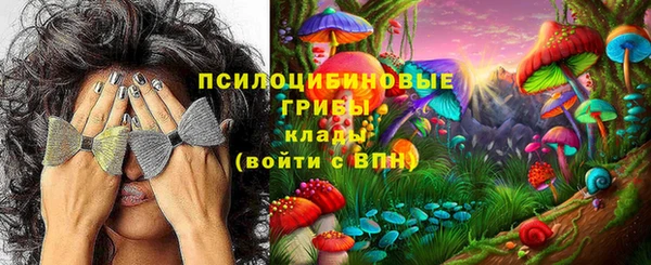 соль ск Алзамай