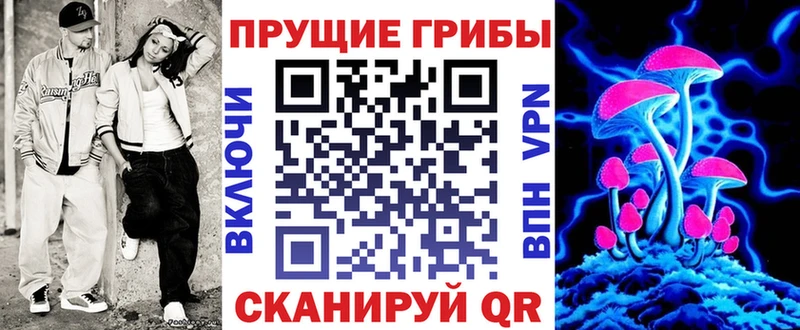 Галлюциногенные грибы MAGIC MUSHROOMS  даркнет сайт  Бежецк 
